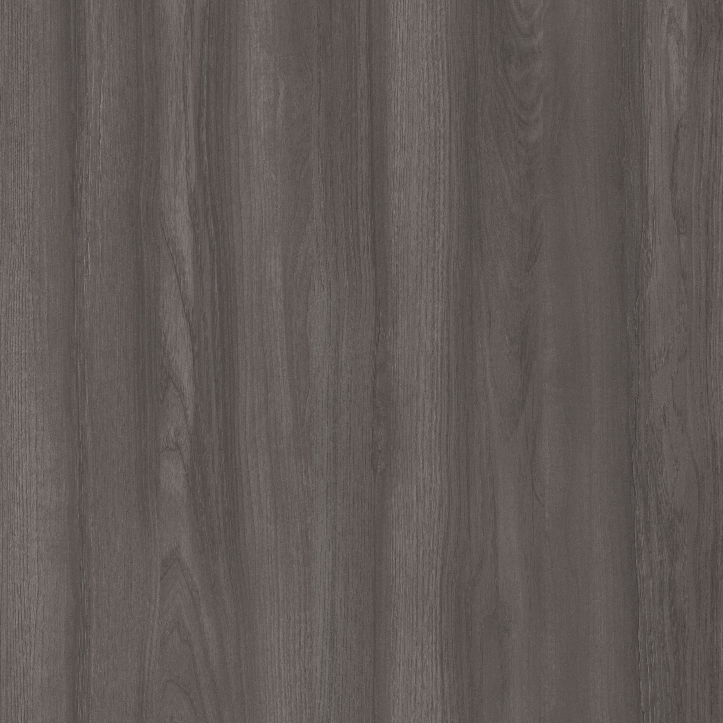 奧里諾科水曲柳